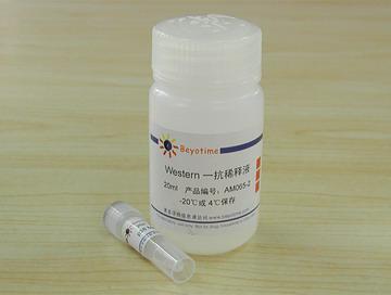 p38 MAPK抗体(小鼠单抗)